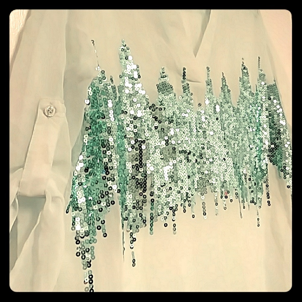 Rue21 Sheer blouse